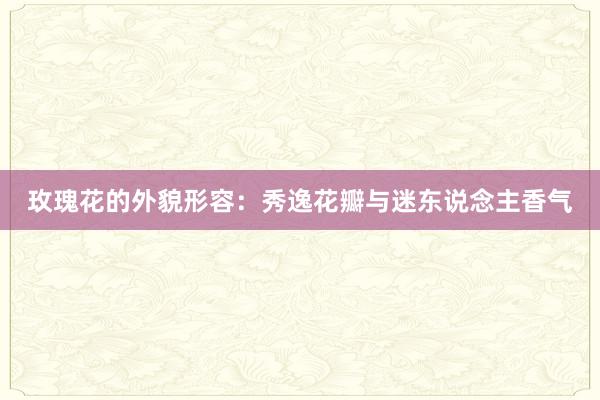 玫瑰花的外貌形容：秀逸花瓣与迷东说念主香气