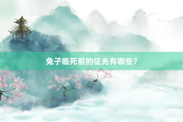 兔子临死前的征兆有哪些？