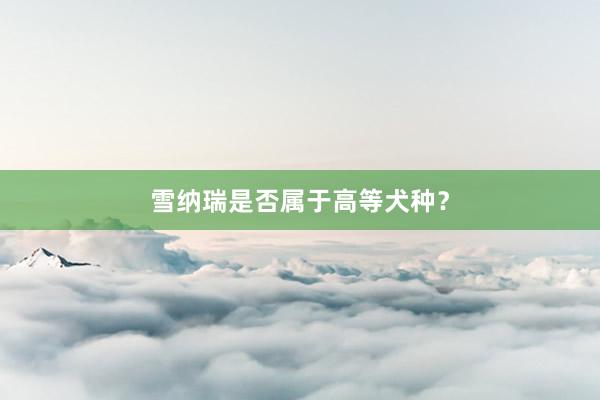 雪纳瑞是否属于高等犬种？
